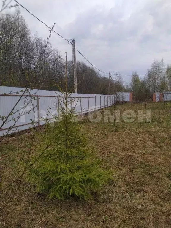 Участок в Московская область, Шаховская муниципальный округ, д. ... - Фото 1