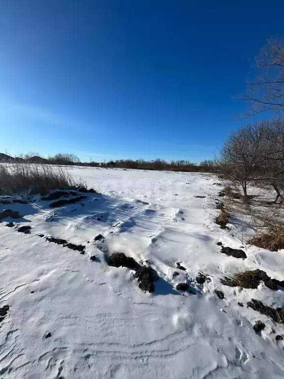 Участок в Амурская область, Благовещенский район, с. Волково  (1000.0 ... - Фото 1