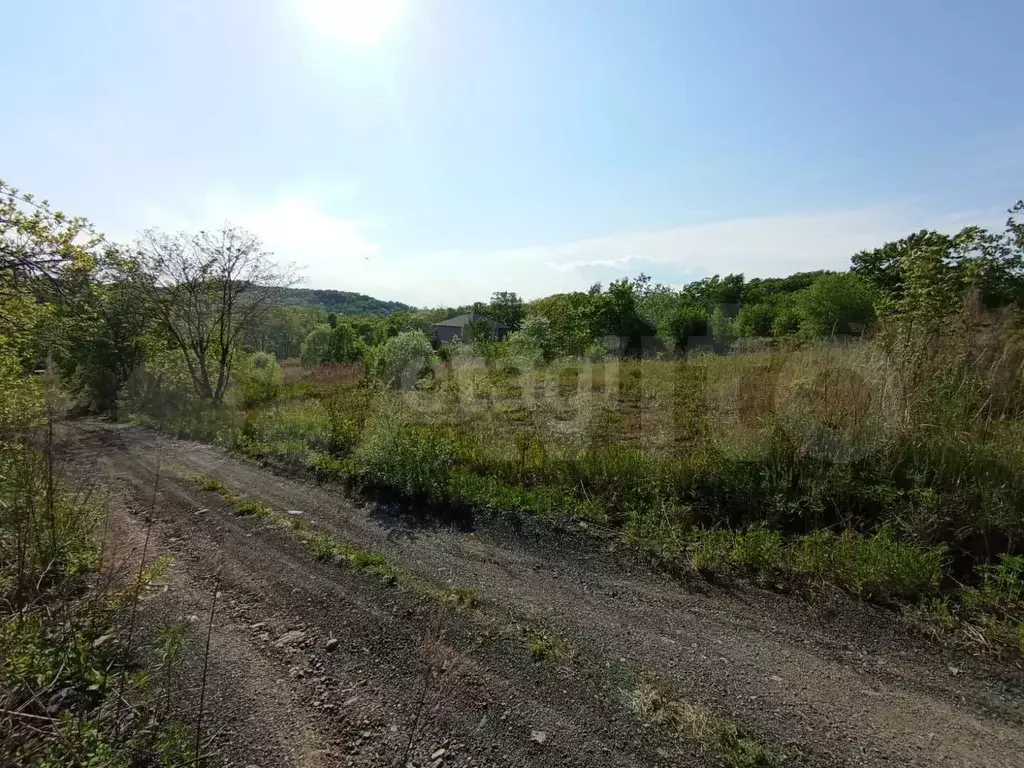 Участок 10 сот. (СНТ, ДНП) - Фото 0