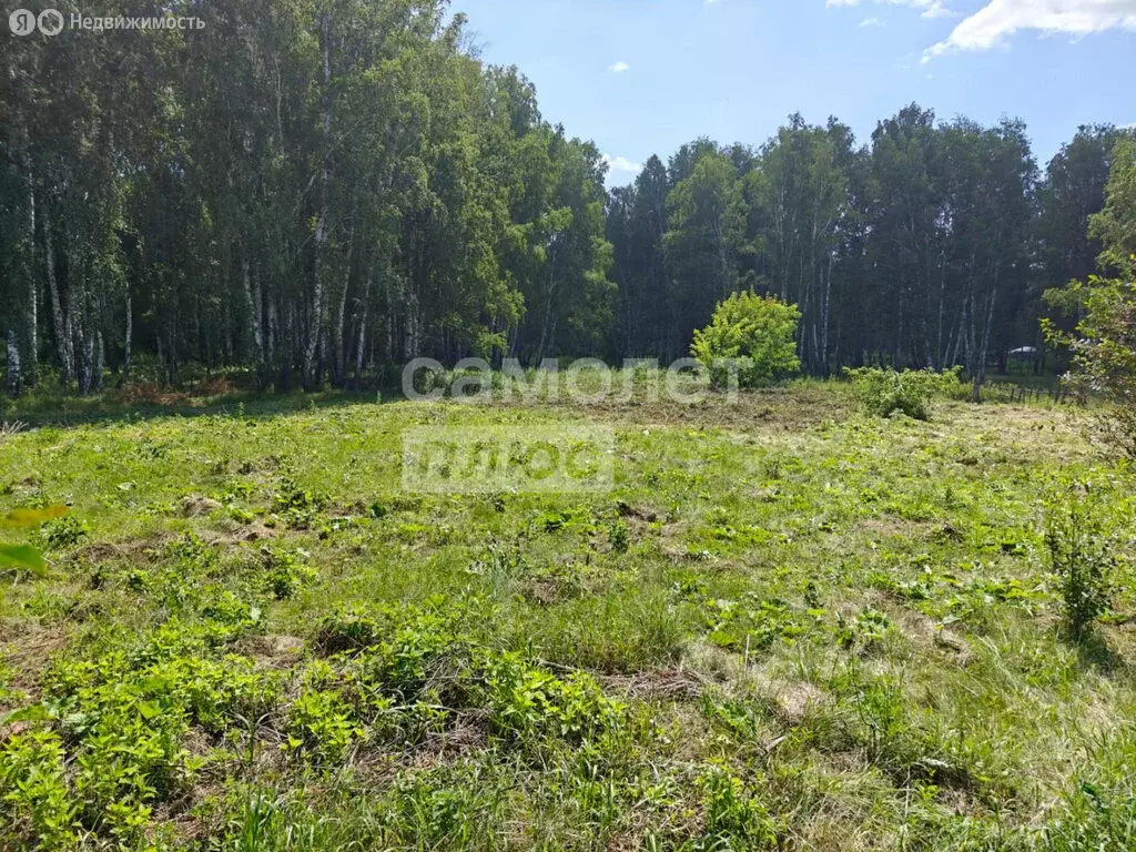 Участок в Челябинская область, Сосновский муниципальный округ, деревня ... - Фото 2