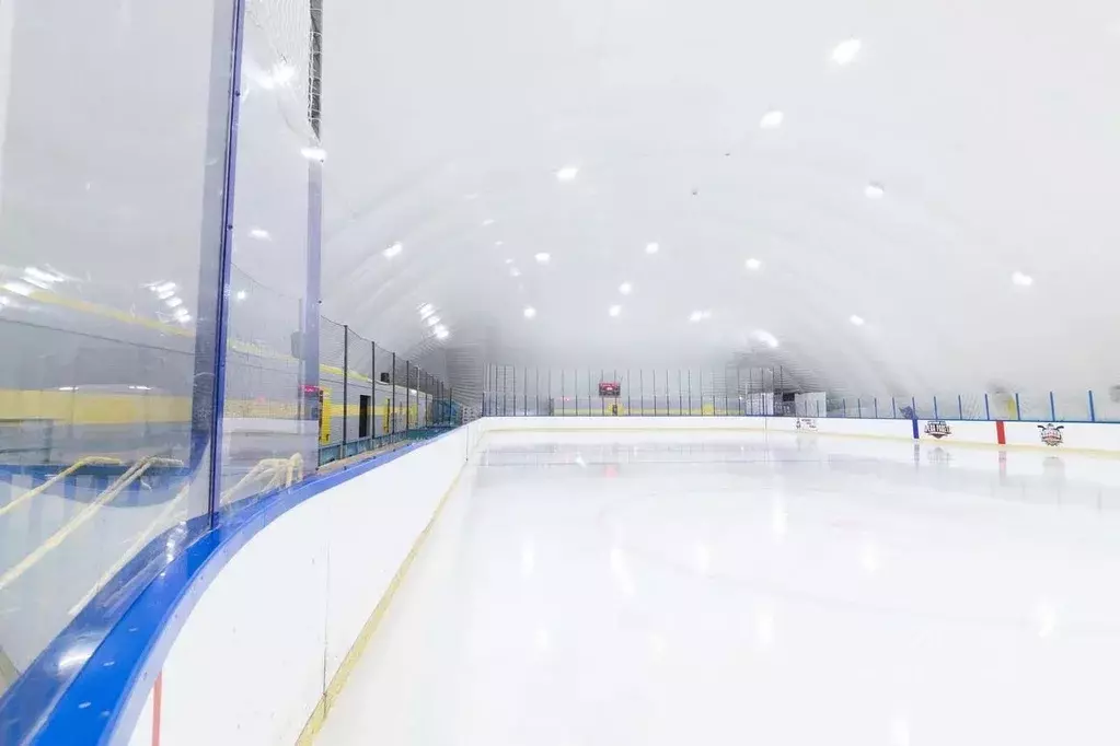 Помещение свободного назначения в Санкт-Петербург пос. Шушары, просп. ... - Фото 1