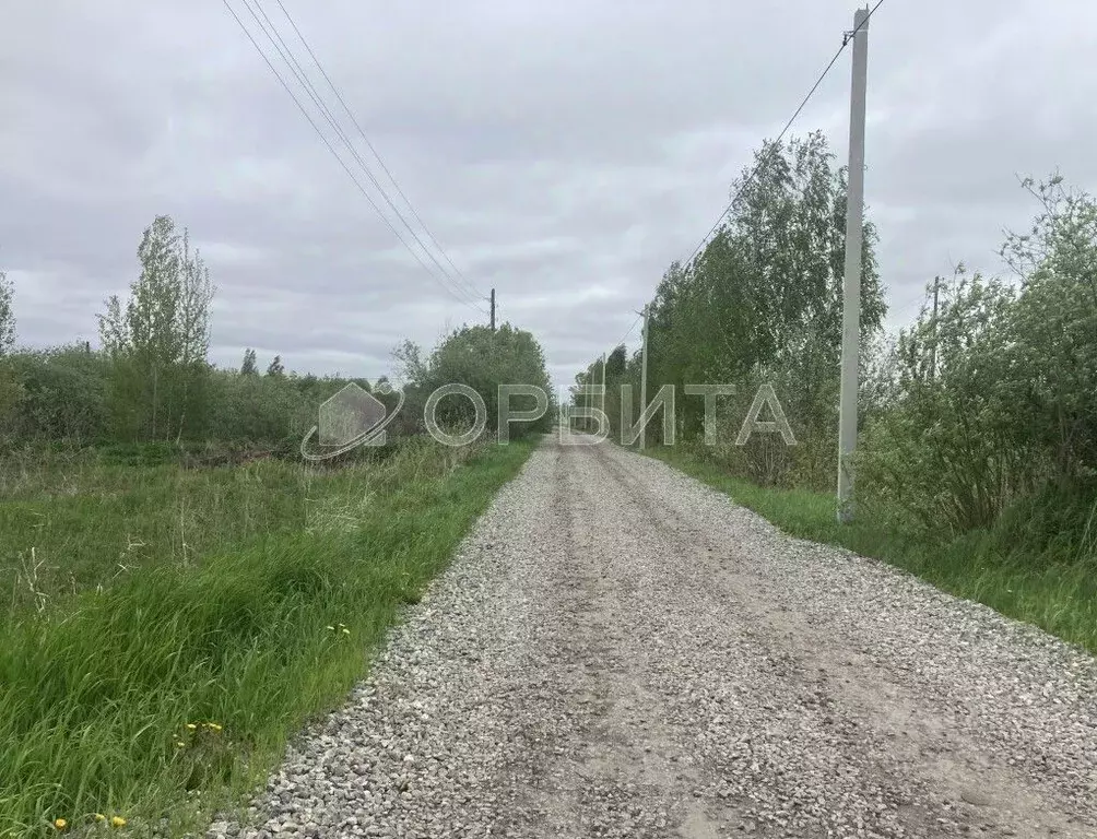 Участок в Тюменская область, Тюмень Садовое товарищество Липовый ... - Фото 0