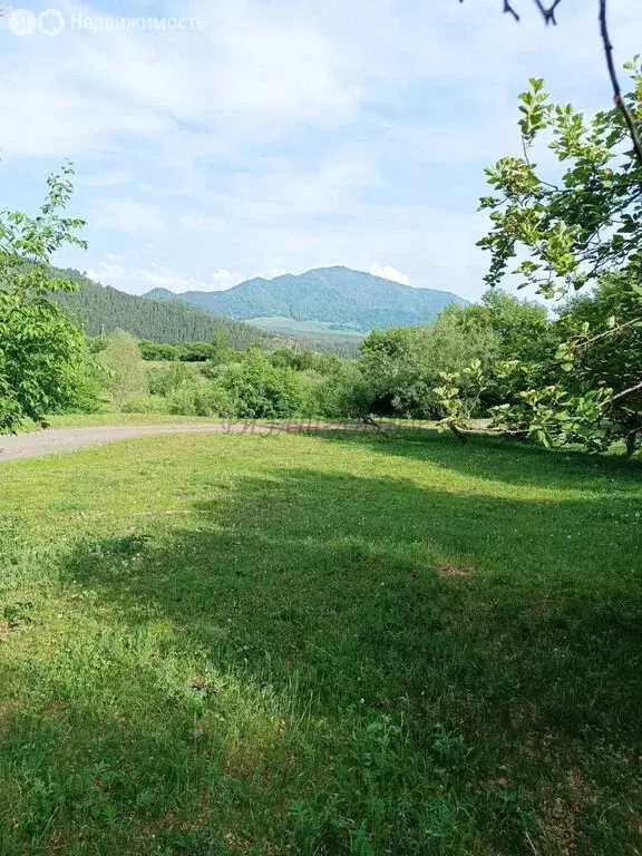 Участок в Чемальский район, Элекмонарское сельское поселение, село ... - Фото 1