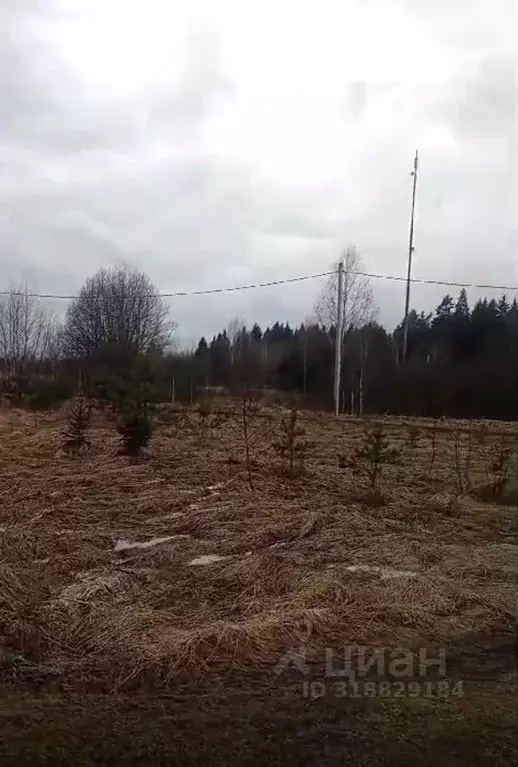 Участок в Московская область, Можайский муниципальный округ, д. ... - Фото 0
