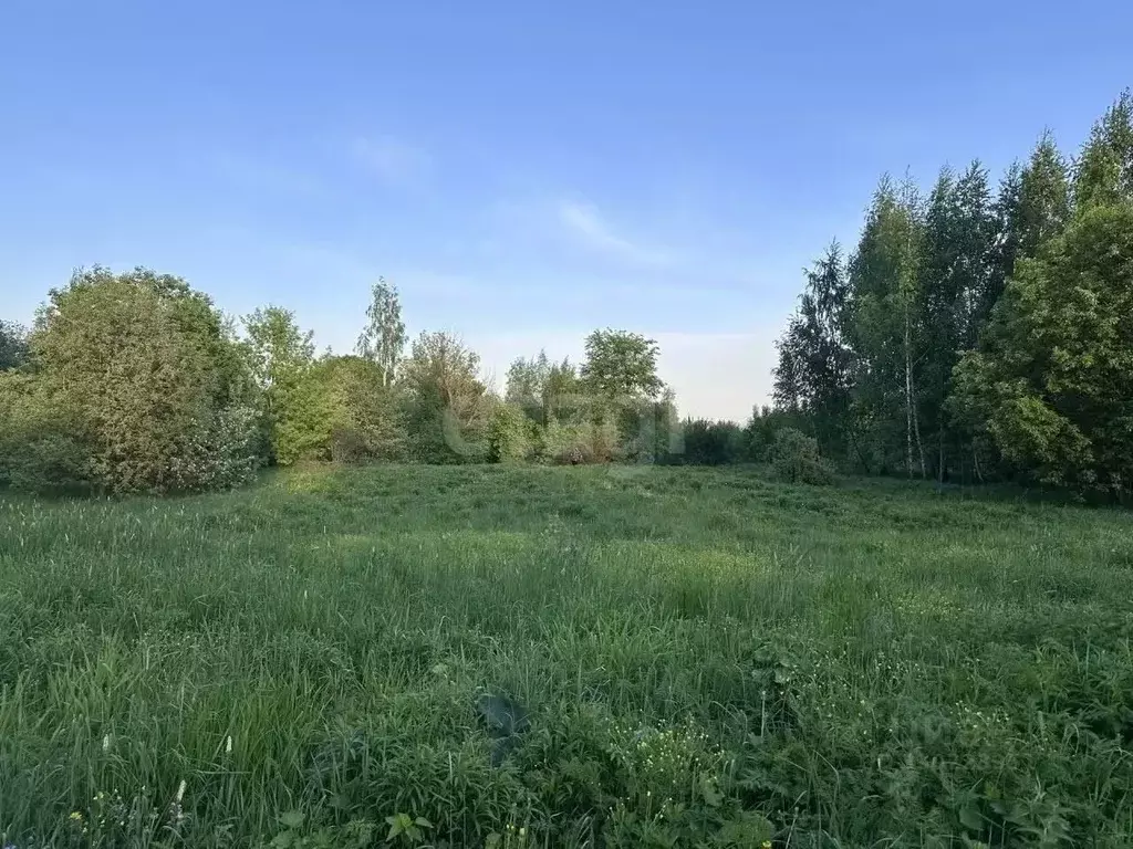 Участок в Тульская область, Тула пос. Скуратовский, пос. Угольный, ул. ... - Фото 1