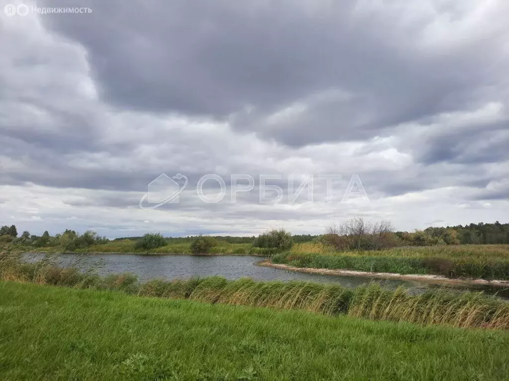 Участок в Курганская область, Куртамышский муниципальный округ, село ... - Фото 0