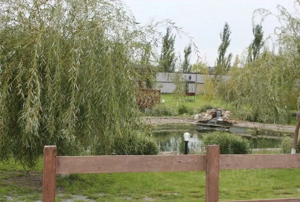 Участок в Волгоградская область, Среднеахтубинский район, Фрунзенское ... - Фото 2