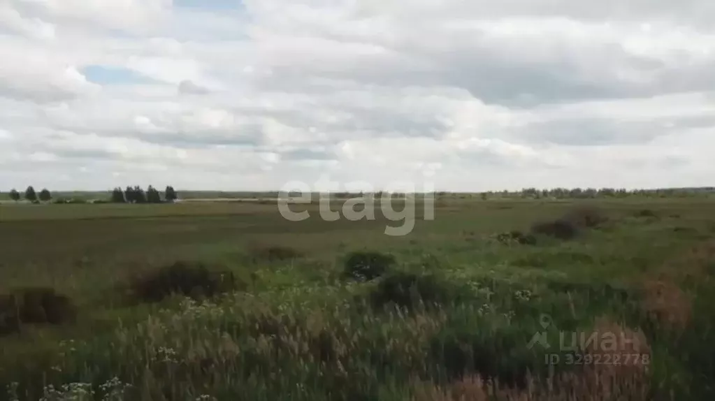 Участок в Московская область, Лотошино муниципальный округ, пос. ... - Фото 1