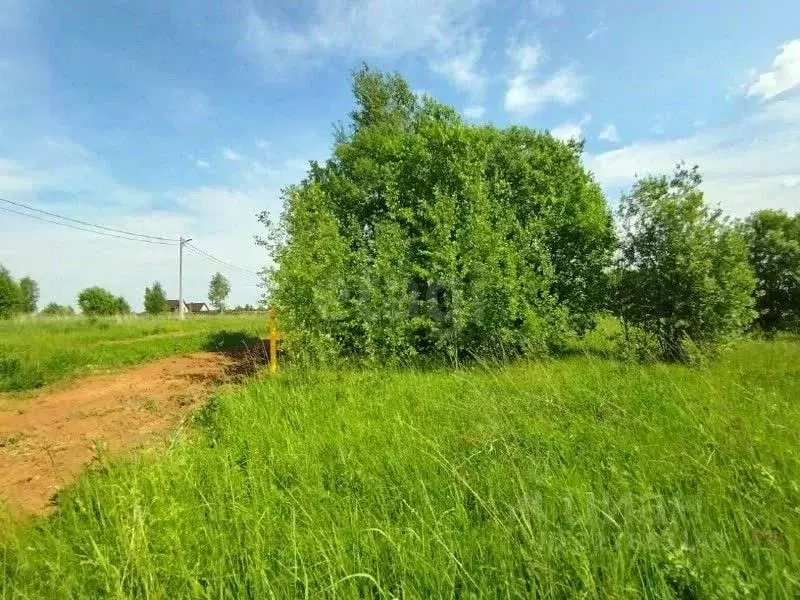 Участок в Владимирская область, Ковров ул. Васильковая (10.0 сот.) - Фото 2