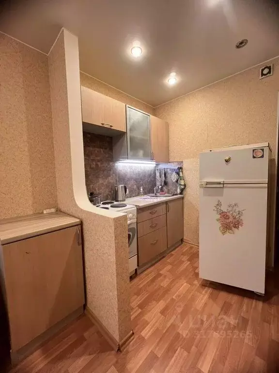 Студия Ленинградская область, Никольское Тосненский район, ... - Фото 1