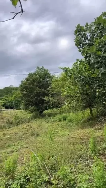 Участок в Краснодарский край, Сочи городской округ, с. Ермоловка  ... - Фото 1