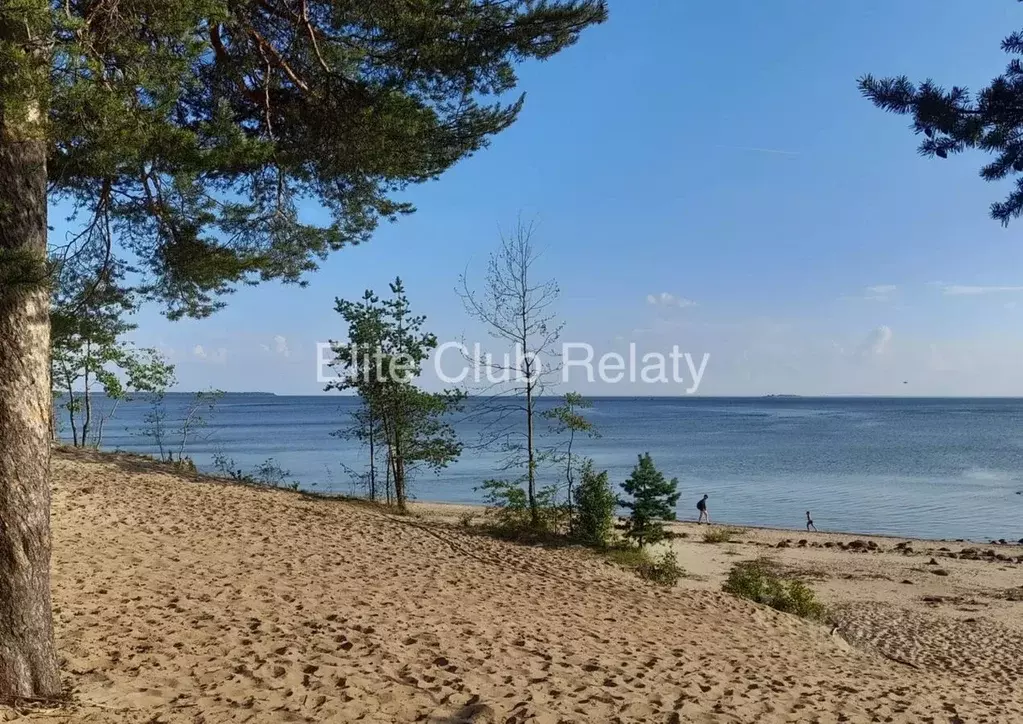 Участок в Санкт-Петербург пос. Репино, Приморское ш., 471Х (26.0 сот.) - Фото 1