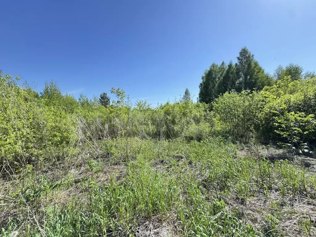 Участок в Башкортостан, Уфа Самишки ТСН, 364 (8.0 сот.) - Фото 1