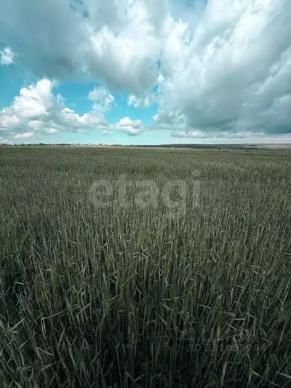 Участок в Крым, Симферопольский район, с. Трудовое  (321.12 сот.) - Фото 1