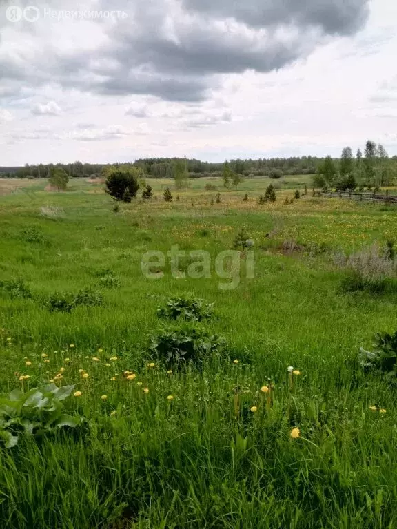 Участок в посёлок городского типа Пышма, улица Некрасова (20 м) - Фото 2