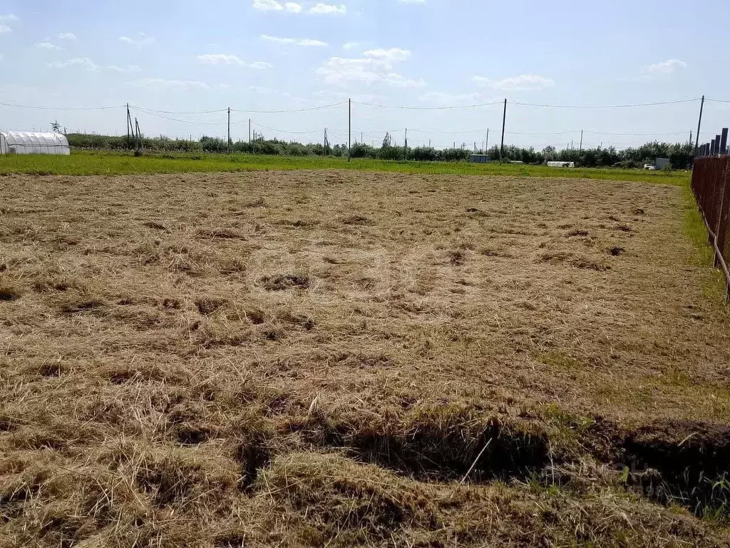 Участок в Тюменская область, Тюмень Большое Царево-3 ОНТ,  (9.97 сот.) - Фото 2