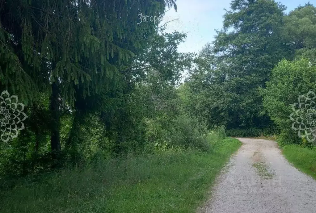 Участок в Московская область, Серпухов городской округ, Боровна СНТ ... - Фото 1