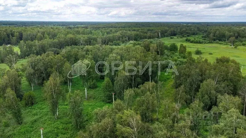 Участок в Тюменская область, Нижнетавдинский район, Строитель ТСН ул. ... - Фото 1