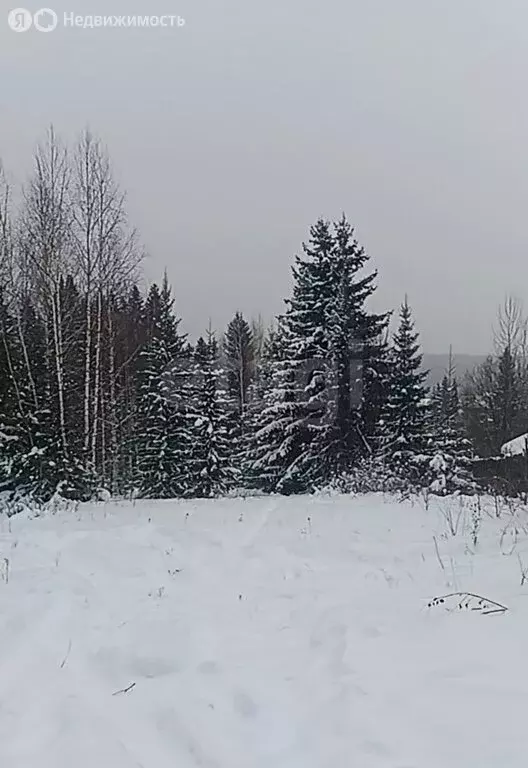 Участок в Свердловская область, Горноуральский муниципальный округ, ... - Фото 2