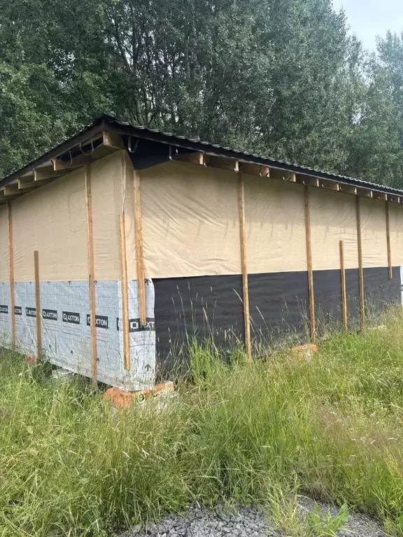 Участок в Ленинградская область, Приозерский район, Ромашкинское ... - Фото 1