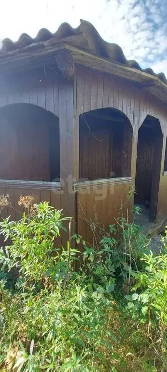 Участок в Калужская область, Мосальский муниципальный округ, сельское ... - Фото 2