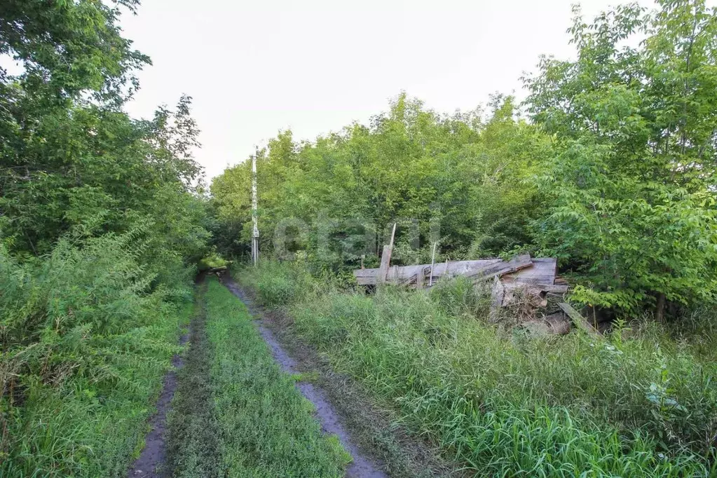 Участок в Алтайский край, Барнаул городской округ, пос. Бельмесево ул. ... - Фото 0