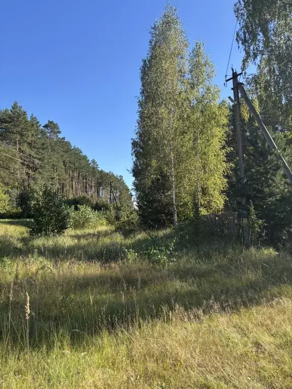 Участок в Брянская область, Брянский район, Свенское с/пос, пос. Свень ... - Фото 1