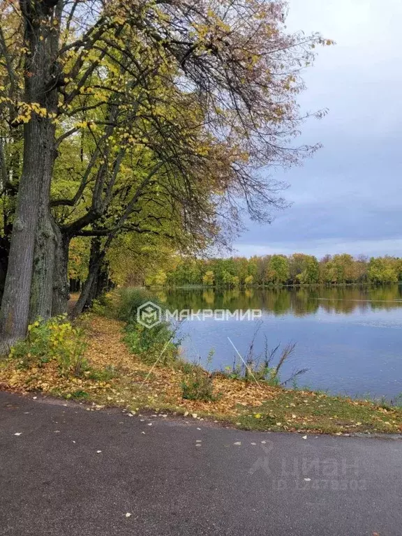 Участок в Санкт-Петербург, Санкт-Петербург, Петергоф Калининская ул., ... - Фото 1