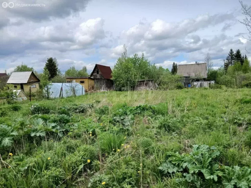 Участок в Кисельнинское сельское поселение, садоводческий массив ... - Фото 1
