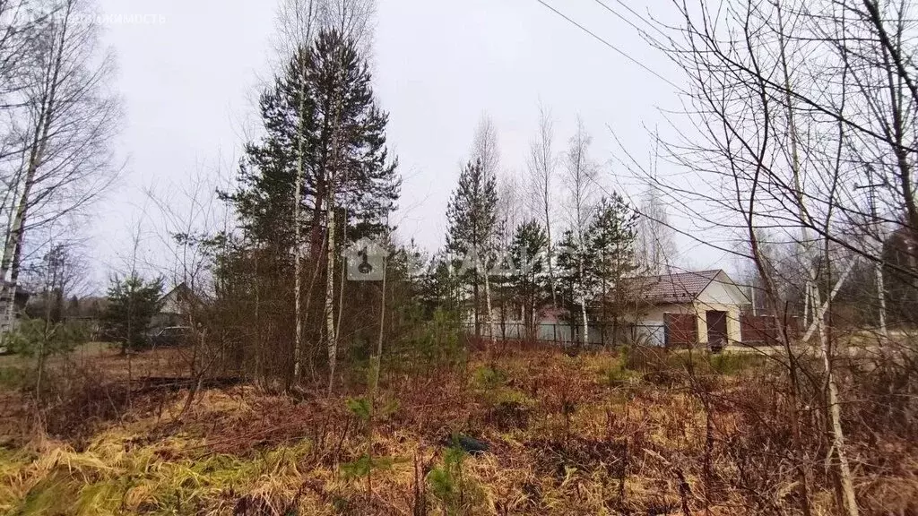 Участок в городской округ Владимир, деревня Злобино (14 м) - Фото 1