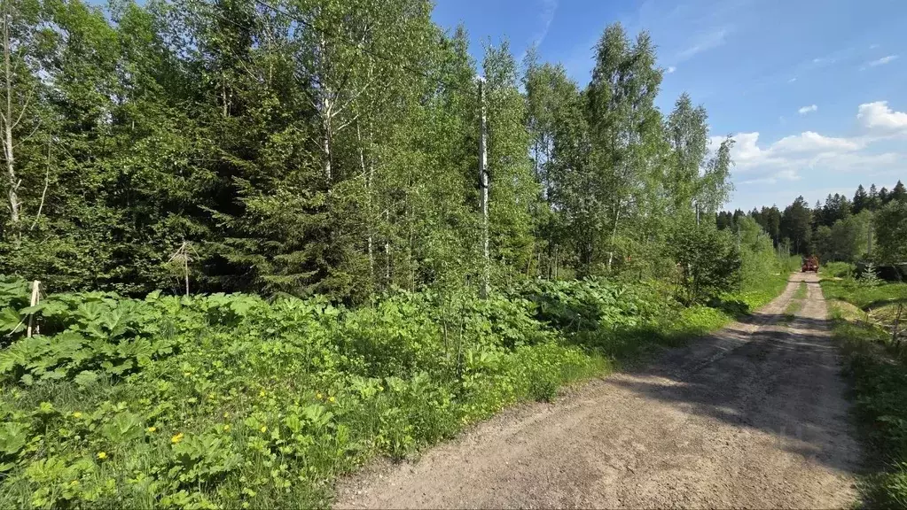 Участок в Московская область, Дмитровский муниципальный округ, пос. ... - Фото 1