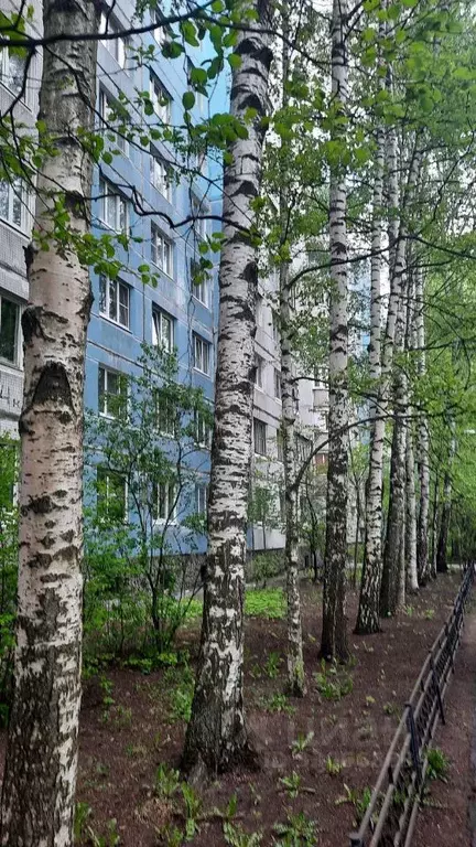 2-к кв. Санкт-Петербург ул. Кораблестроителей, 44к2Б (47.9 м) - Фото 1