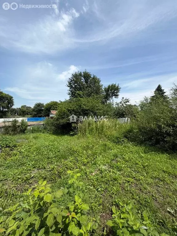 Участок в село Кремово, Калининская улица, 42 (19.24 м) - Фото 2