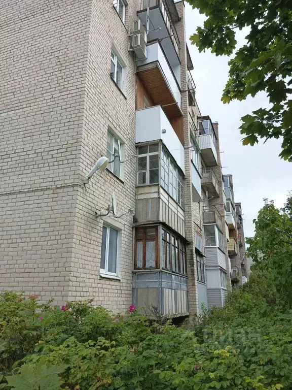 3-к кв. Новгородская область, Малая Вишера ул. Мерецкова, 10 (57.3 м) - Фото 2
