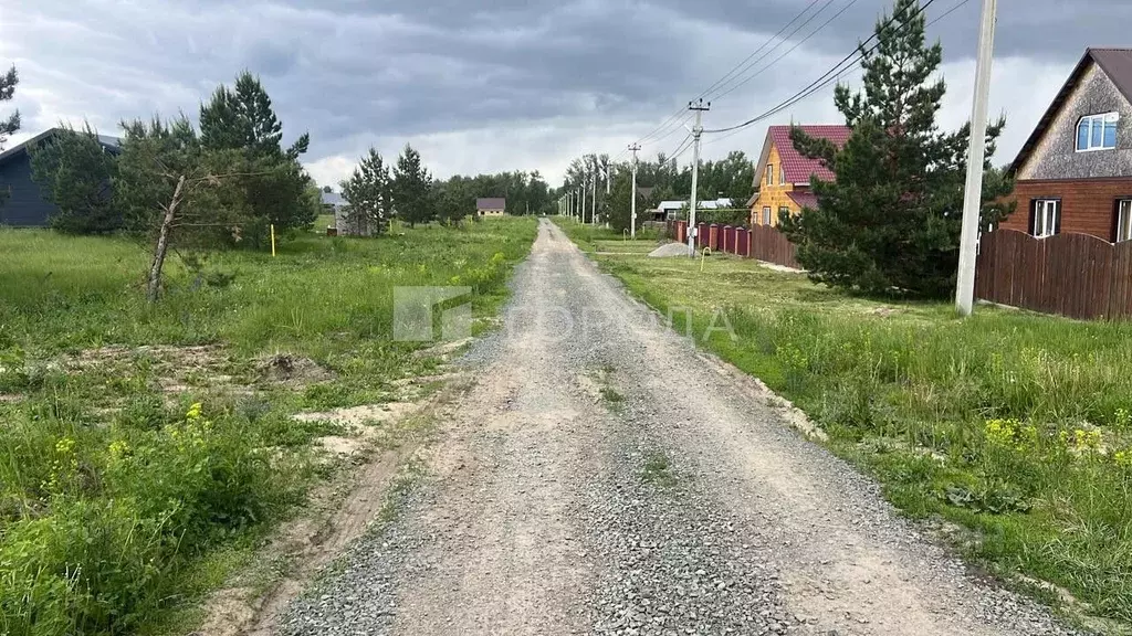 Участок в Алтайский край, Первомайский район, с. Фирсово, Рощино мкр ... - Фото 0