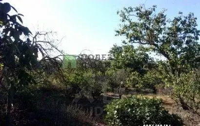Участок в Севастополь Гагаринский муниципальный округ,  (8.0 сот.) - Фото 1