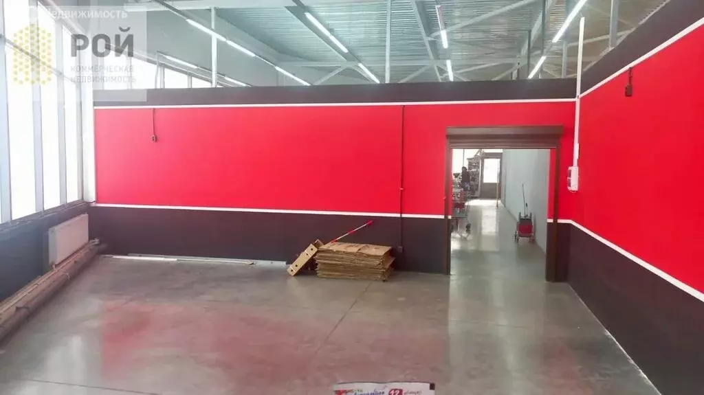 Помещение свободного назначения (54 м) - Фото 2