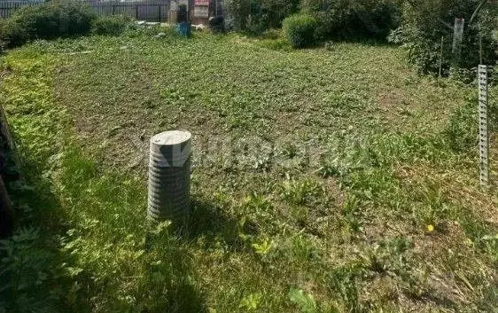Участок в Томская область, Томск Левобережье СНТ,  (5.0 сот.) - Фото 1