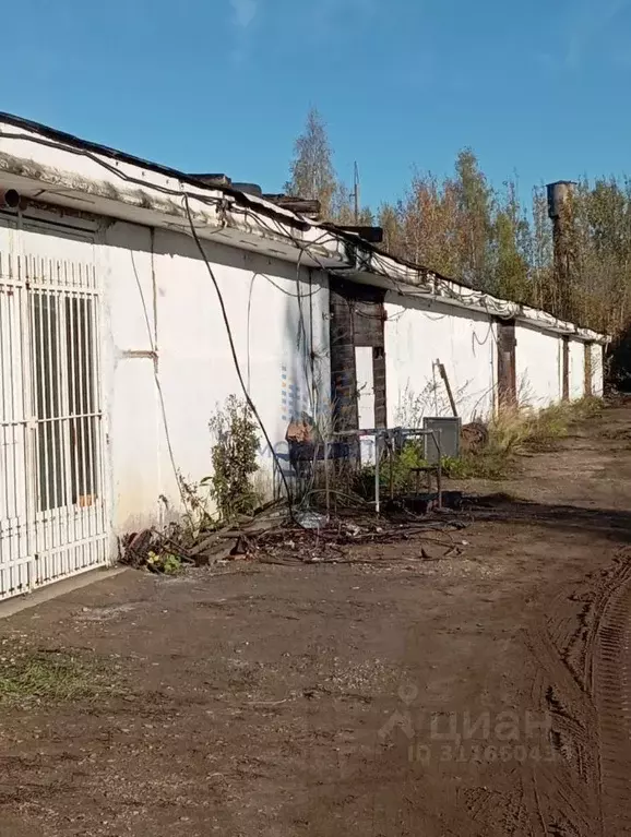 Склад в Московская область, Рузский городской округ, д. Нестерово ул. ... - Фото 0