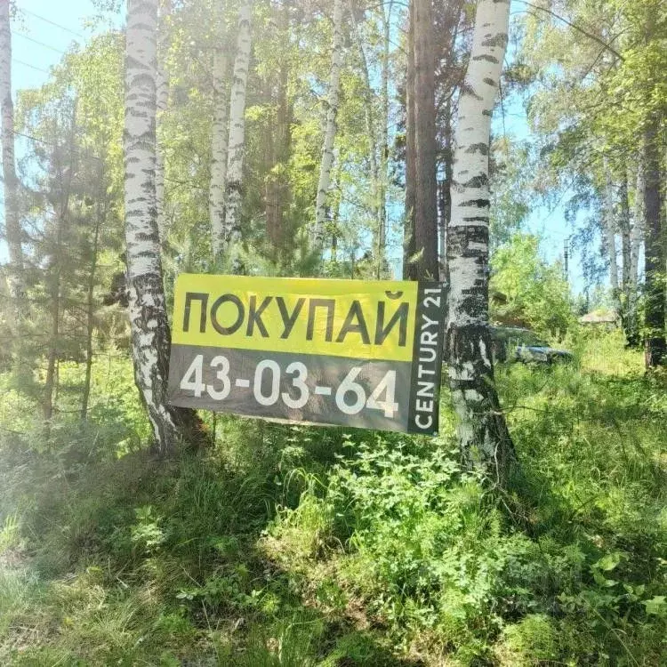 Участок в Иркутская область, Иркутский муниципальный округ, пос. Падь ... - Фото 1