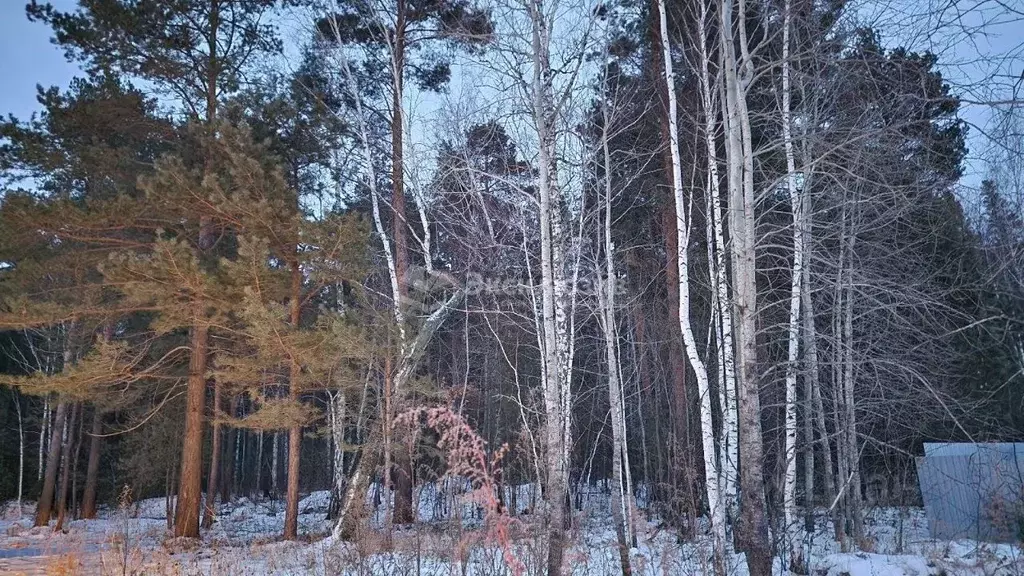 Участок в Тюменская область, Нижнетавдинский район, с. Тюнево ул. ... - Фото 1