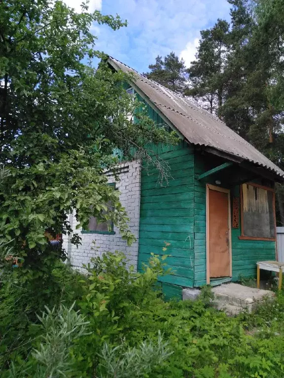 Дом в Владимирская область, Киржач Солнечный СНТ,  (25 м) - Фото 1