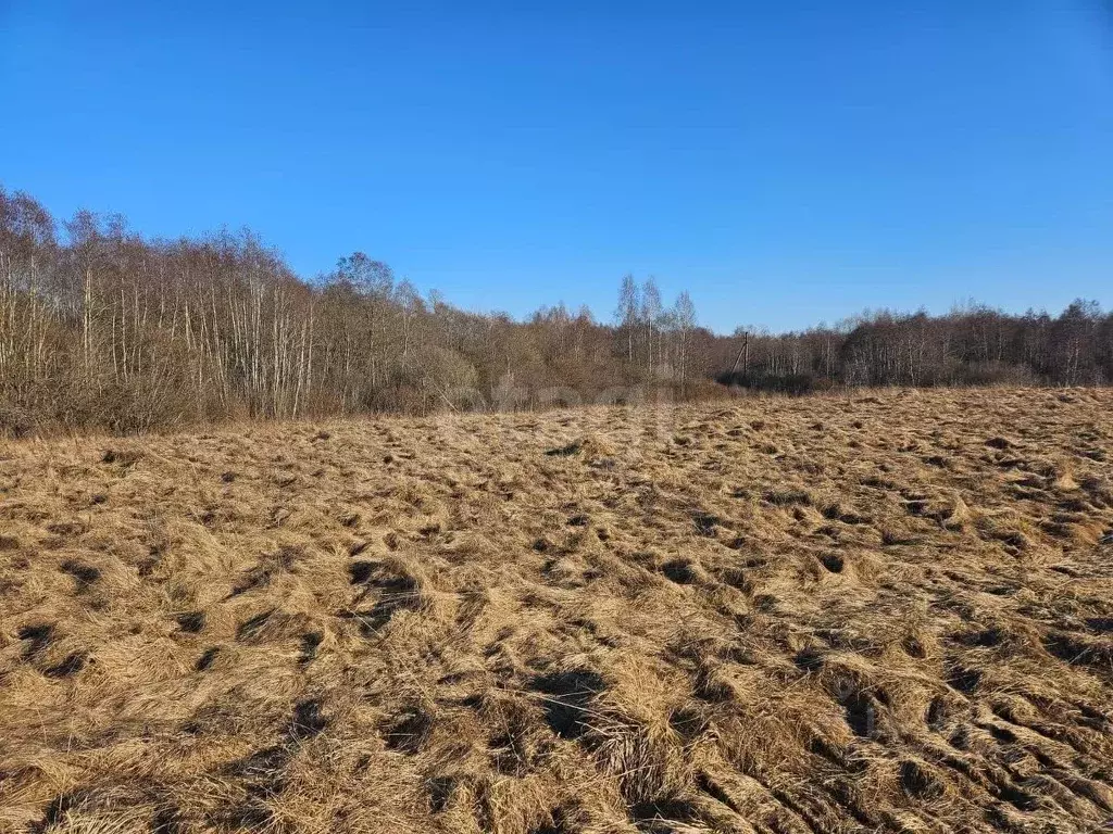 Участок в Псковская область, Псковский район, Писковичская волость, д. ... - Фото 1