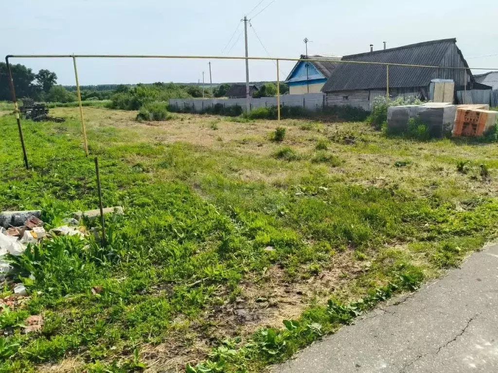 Участок в Мордовия, Саранск городской округ, с. Напольная Тавла ул. ... - Фото 2