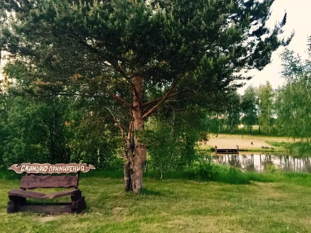 Участок в Тульская область, Веневский муниципальный округ, Родники ... - Фото 1