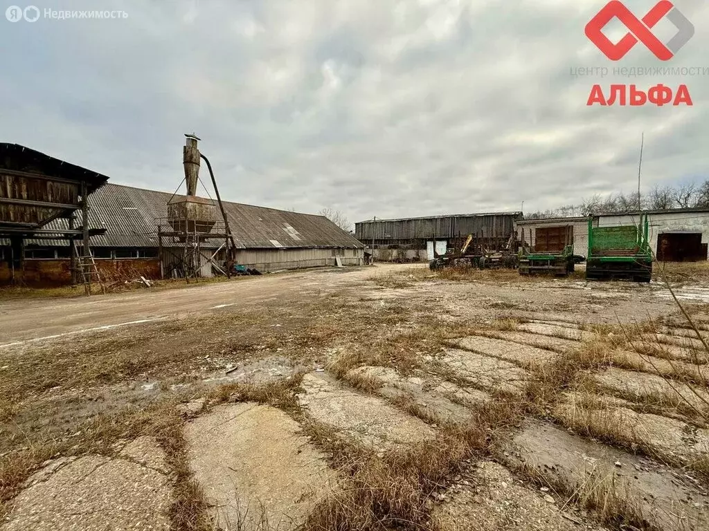 Производственное помещение (1114 м) - Фото 2