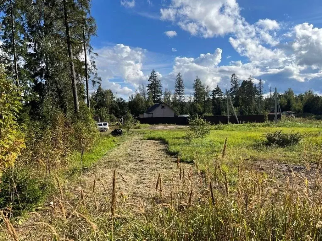 Участок в Ленинградская область, Сосновый Бор  (10.29 сот.) - Фото 1