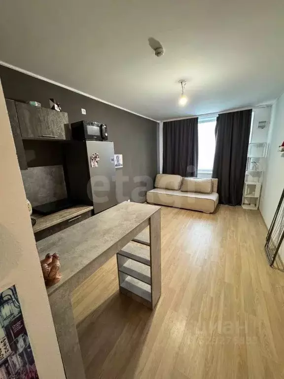 Студия Свердловская область, Екатеринбург ул. Победы, 102 (22.3 м) - Фото 2