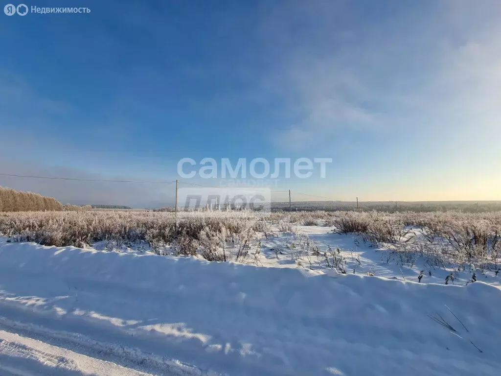 Участок в Завьяловский район, ДНТ Горка-2, Кольцевая улица, 17 (25.56 ... - Фото 0