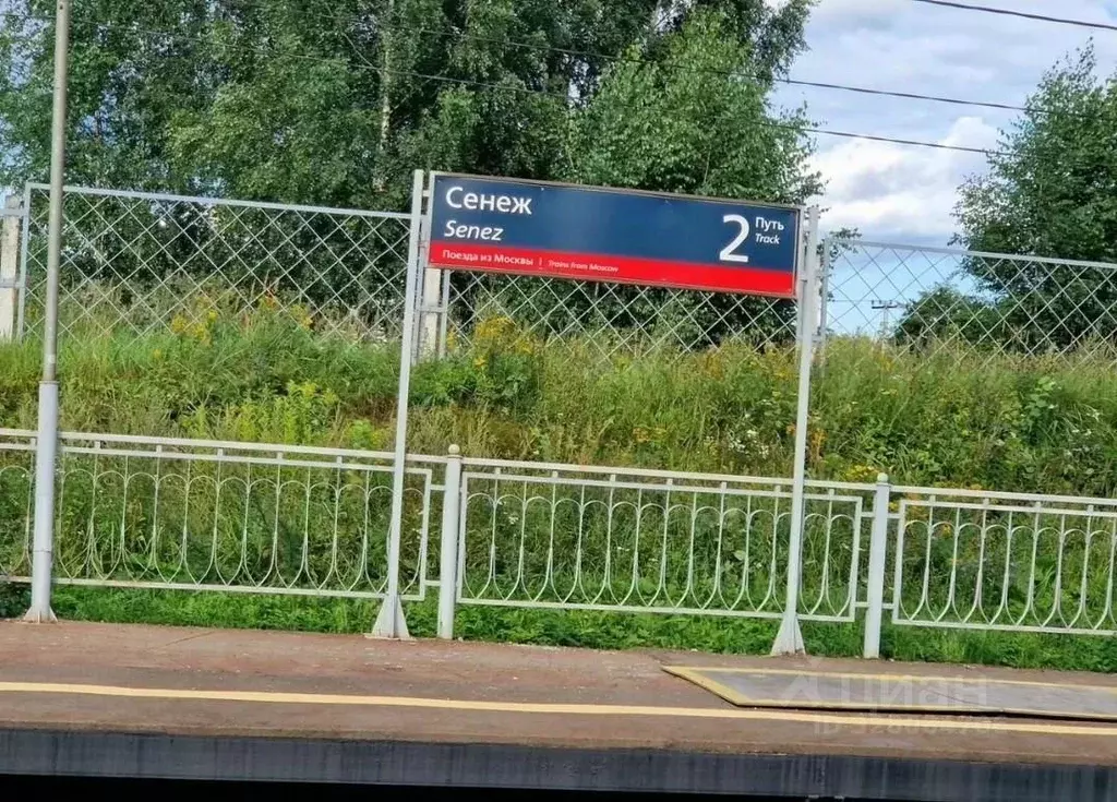 Участок в Московская область, Солнечногорск городской округ, Лесное ... - Фото 2